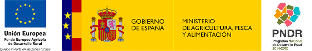 logo esp