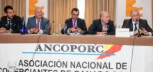 grupo jorge ANCOPORC