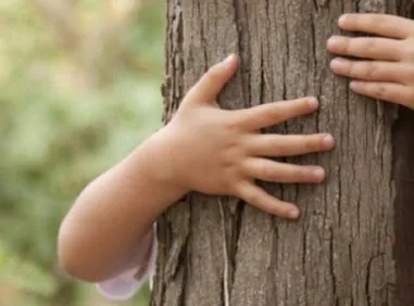 grupo jorge Plataforma Tecnólogica Forestal Europea