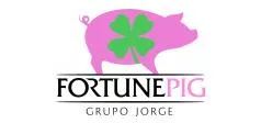 grupo jorge